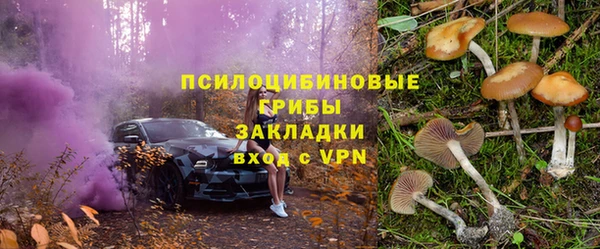 стаф Белокуриха