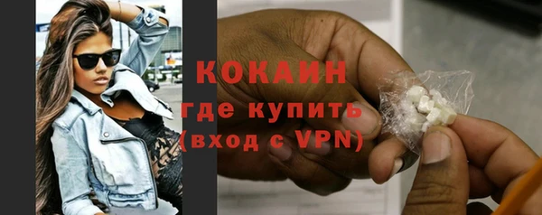стаф Белокуриха