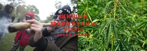 стаф Белокуриха