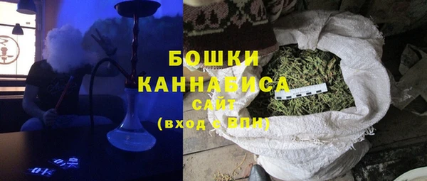 стаф Белокуриха