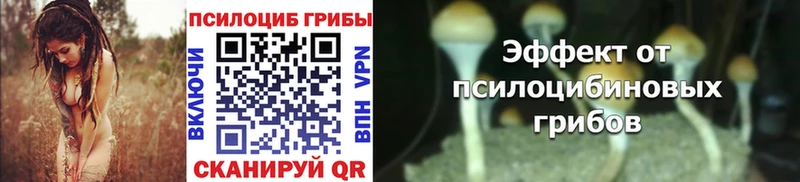 Псилоцибиновые грибы Cubensis  магазин    Яхрома 